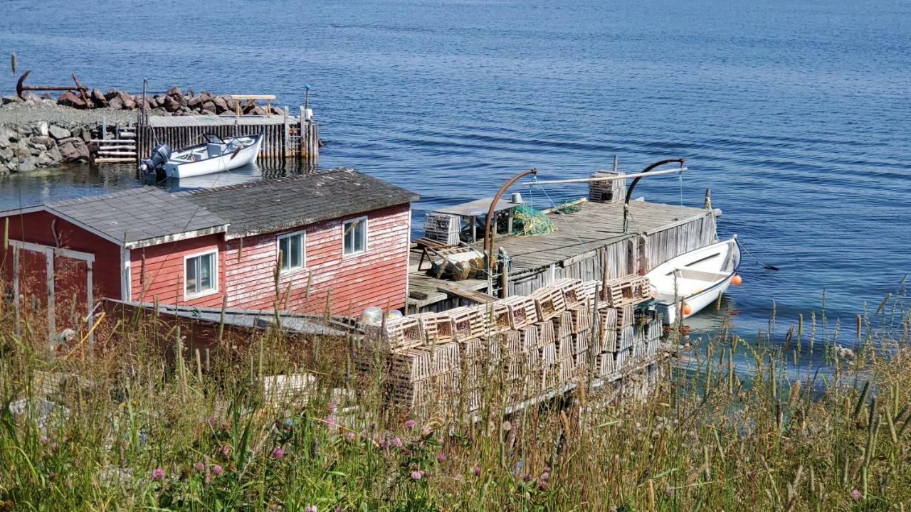 Hillside B&B Twillingate Exterior foto